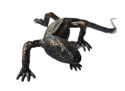 Driežiukas kalviškas