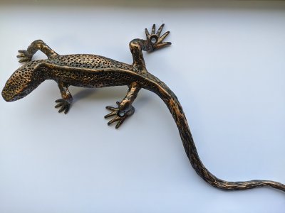 Driežiukas kalviškas