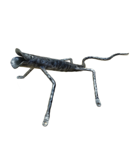 Vėliavos laikiklis driežas