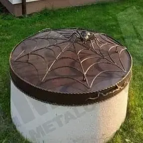 Well cover with spider web and spider