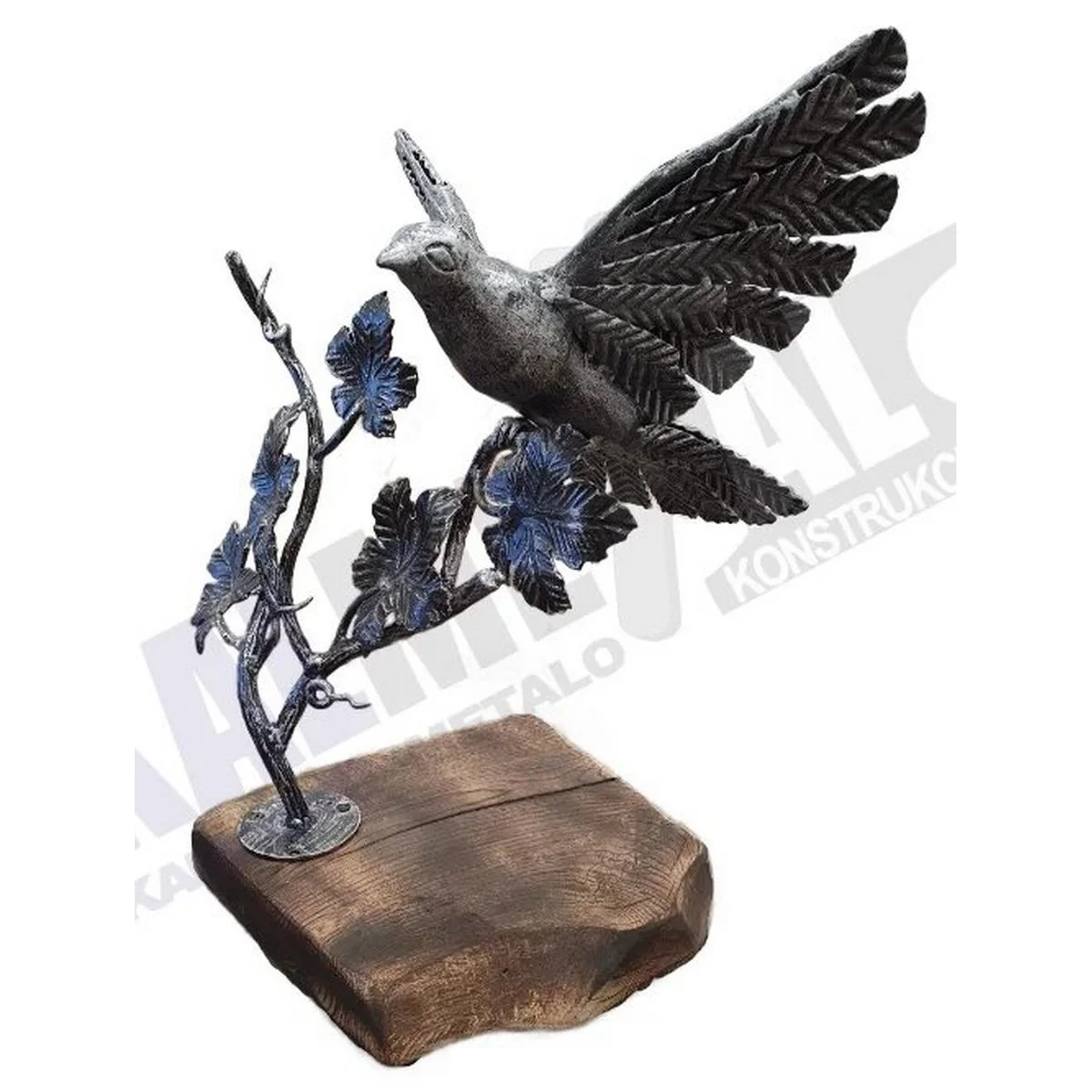 Pigeon on a Branch