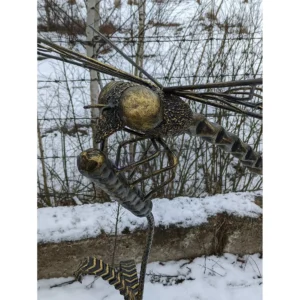 Dragonfly on reeds