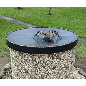 Well cover with a spider