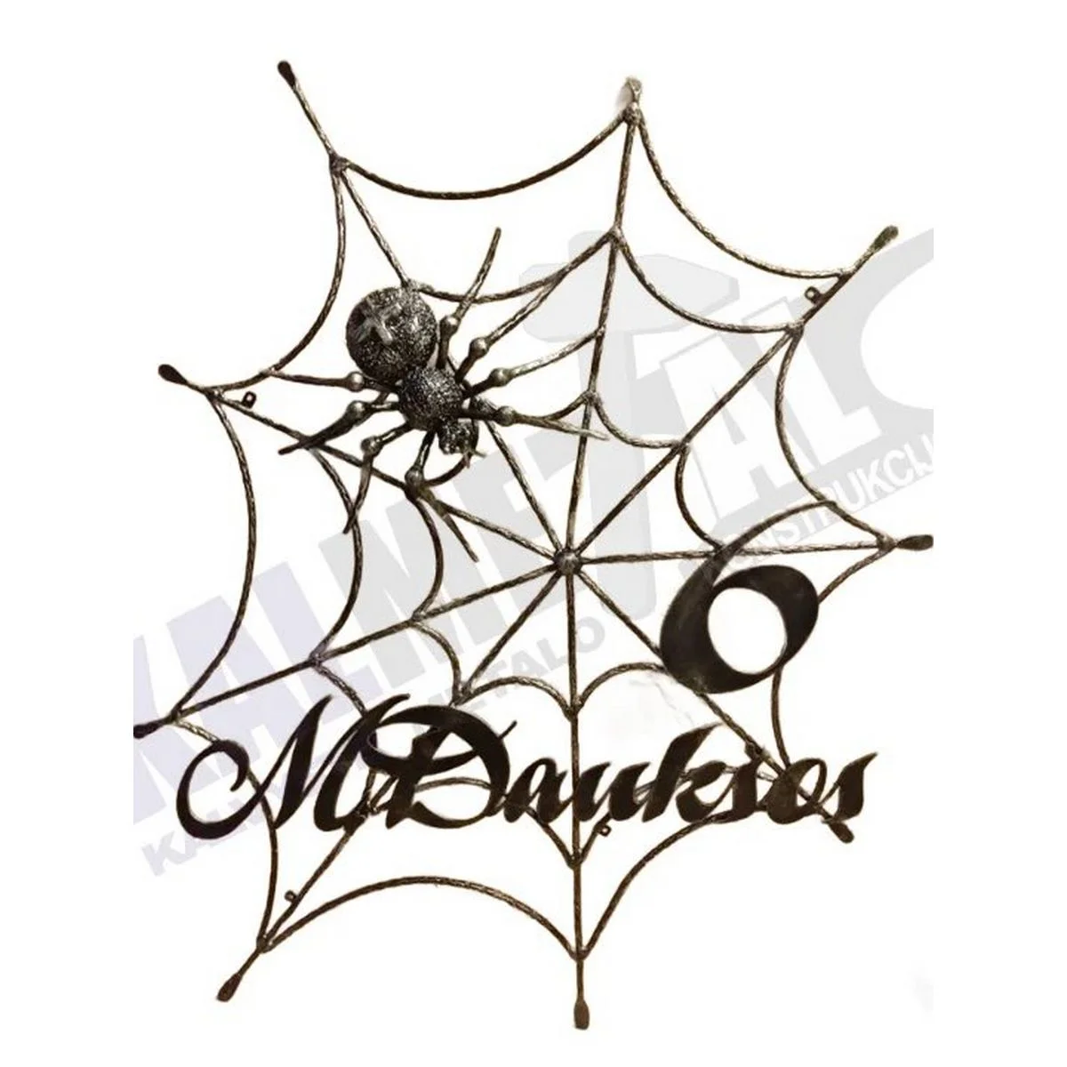 Spider web with house number and street name - Image 4
